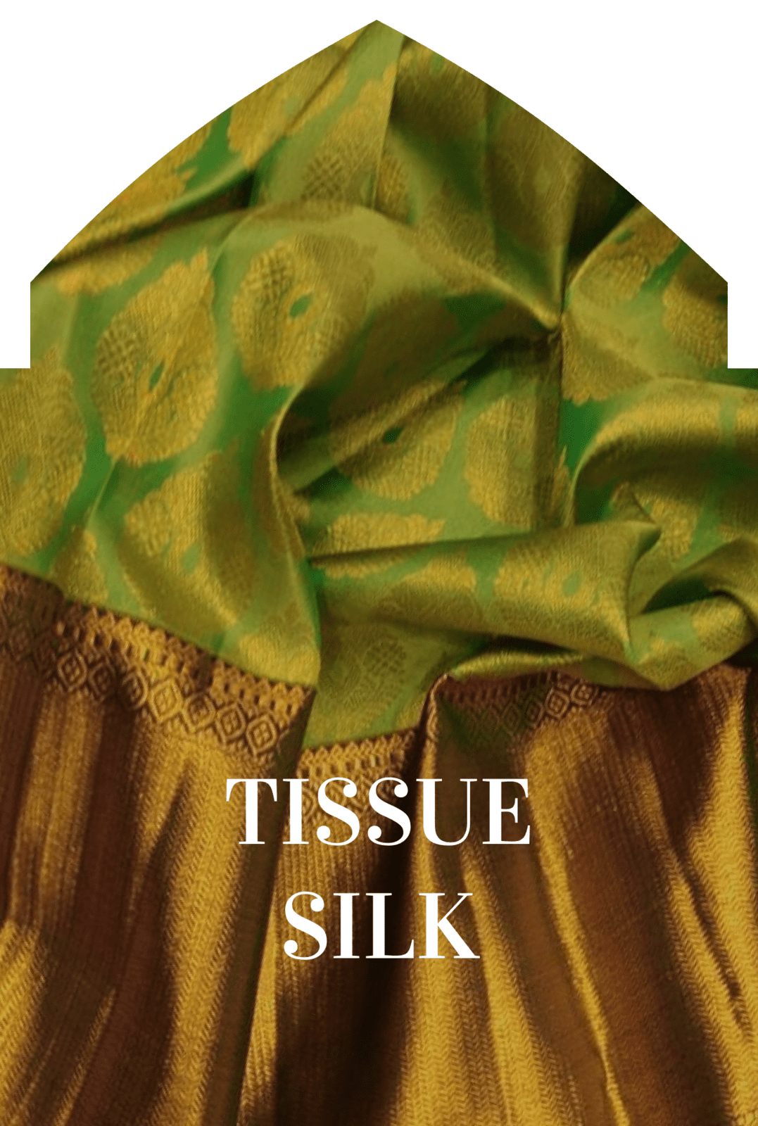 Nikki Galanii wearing an elegant green and gold silk saree, showcasing a blend of sophistication and opulence.